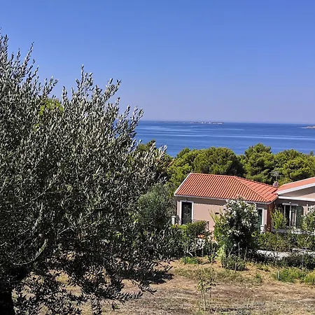 Seapine Lassi (Kefalonia)