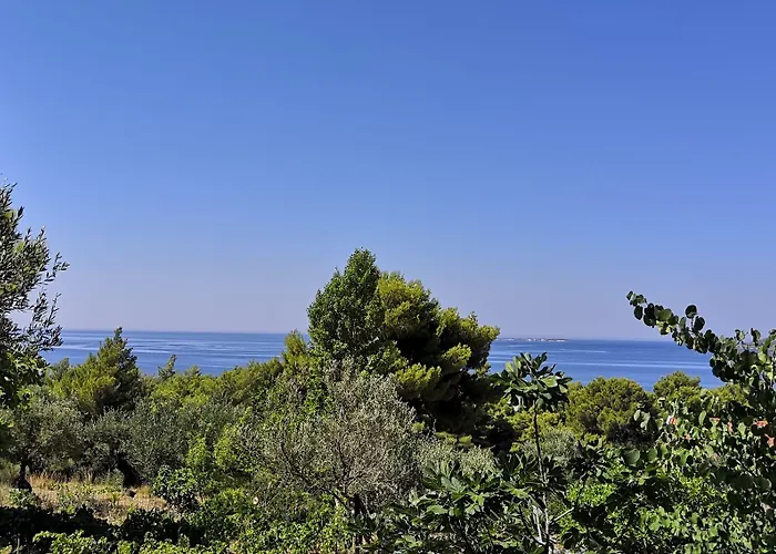 Seapine Apartamento