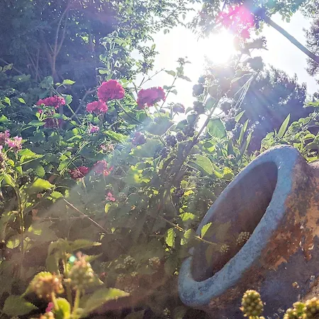 Seapine Appartement *