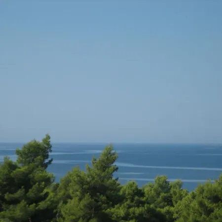 Seapine *